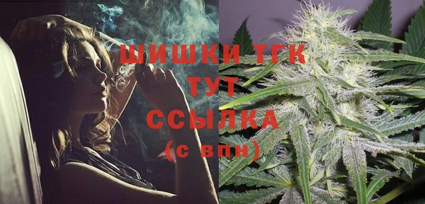 прущие грибы Алзамай