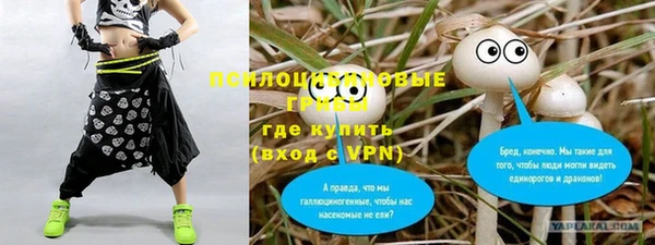 прущие грибы Алзамай