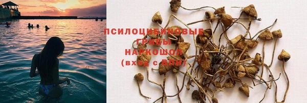 СК Алексеевка