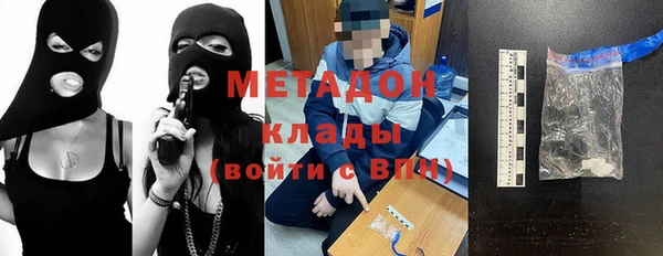 прущие грибы Алзамай