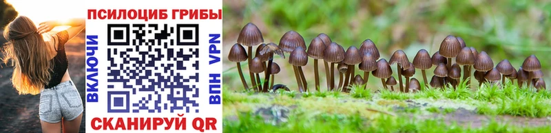 Галлюциногенные грибы мицелий  Исилькуль 
